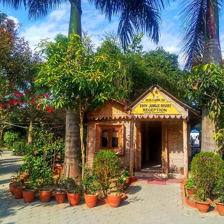 Eden Jungle Resort Sauraha Exteriör bild
