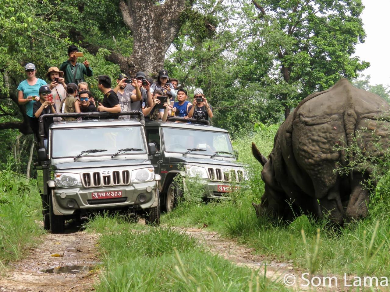 Eden Jungle Resort Sauraha Exteriör bild