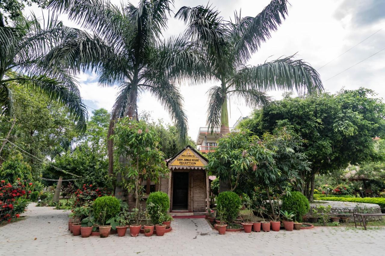 Eden Jungle Resort Sauraha Exteriör bild