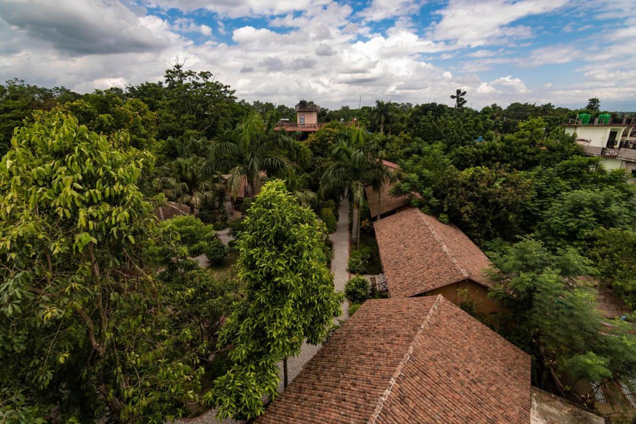 Eden Jungle Resort Sauraha Exteriör bild