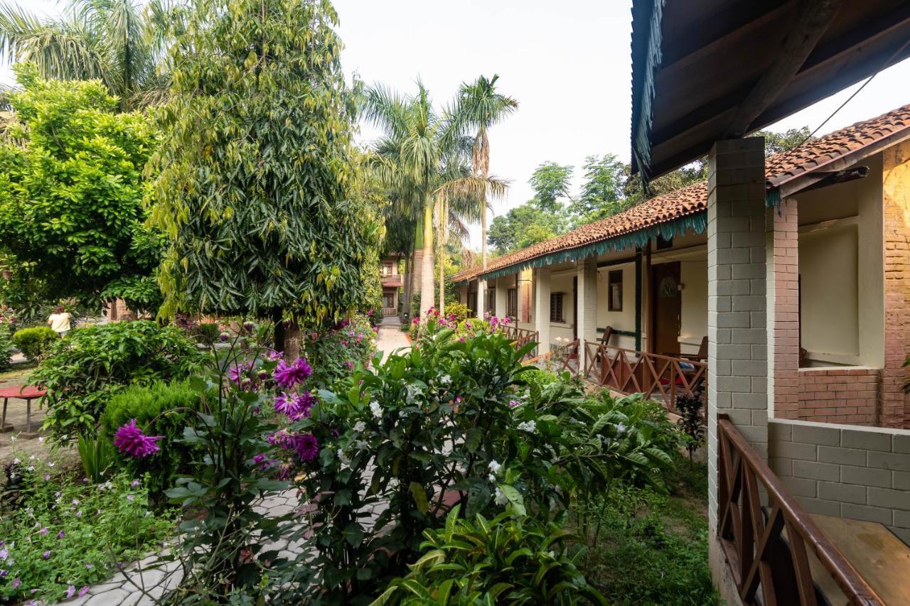 Eden Jungle Resort Sauraha Exteriör bild