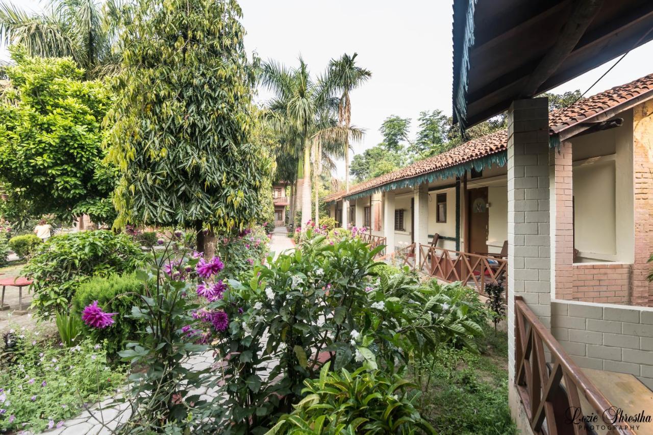 Eden Jungle Resort Sauraha Exteriör bild